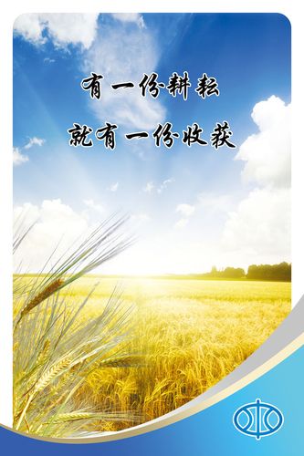 贵州火狐电竞十大煤企排名(贵州煤矿排名)